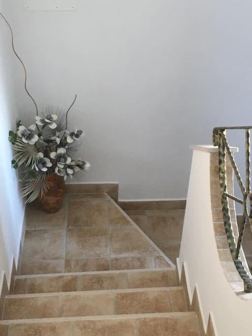 Carpino Casa Vacanza Gargano מראה חיצוני תמונה