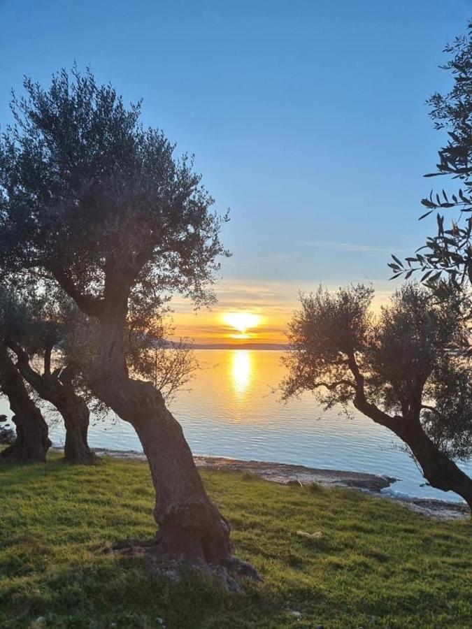 Carpino Casa Vacanza Gargano מראה חיצוני תמונה